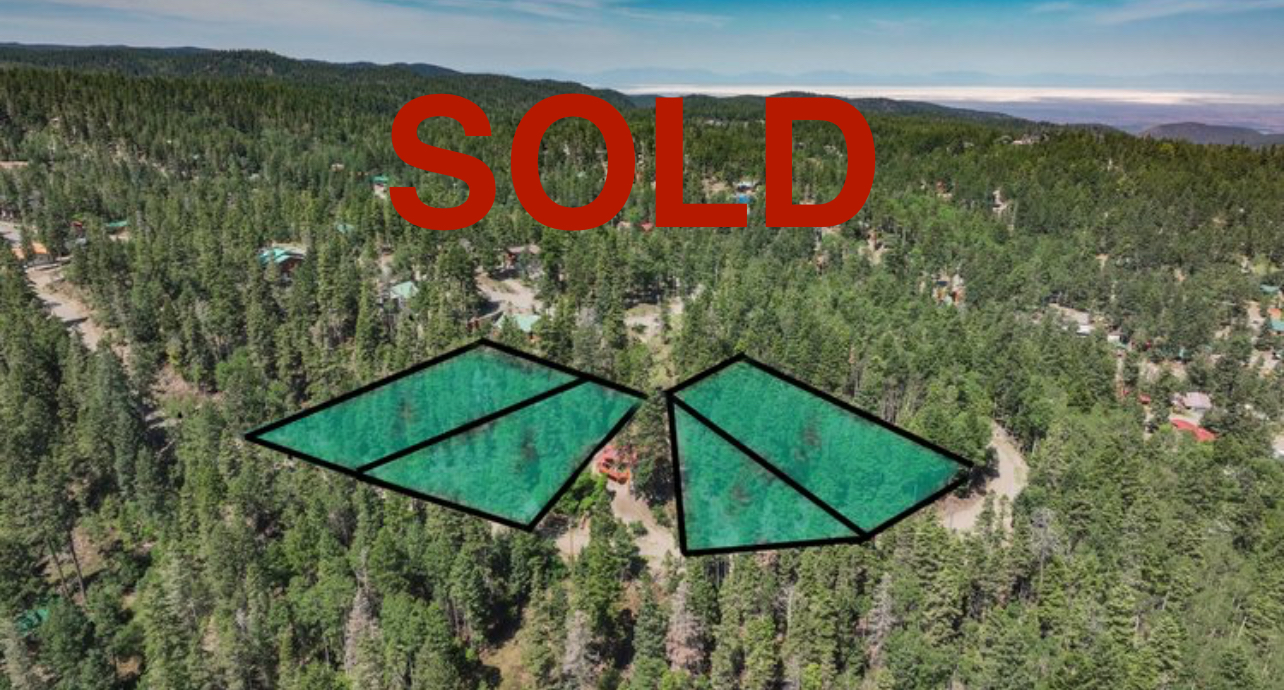 A group of deer in a fieldAI-generated content may be incorrect.