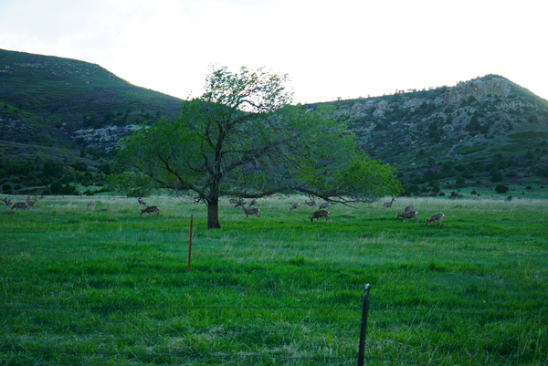 San Francisco Creek Ranch