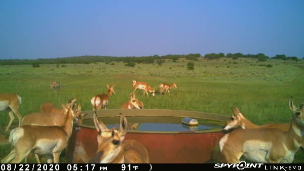 Colorado & New Mexico Big Game Hunting on Private Ranches 