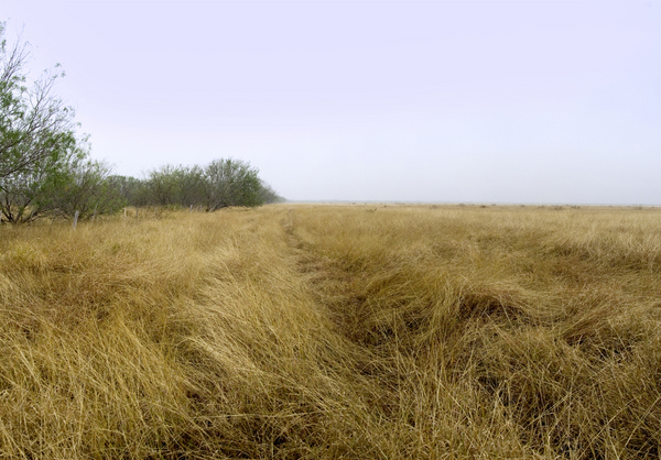 Dos Hermanos Ranch