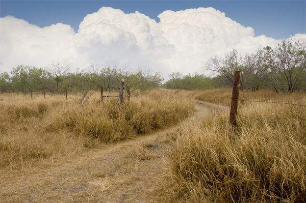 Dos Hermanos Ranch