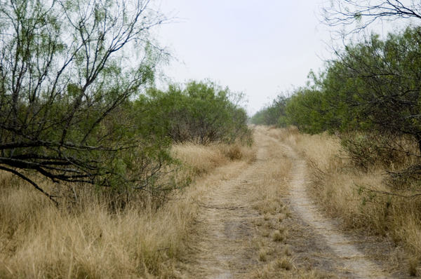 Dos Hermanos Ranch