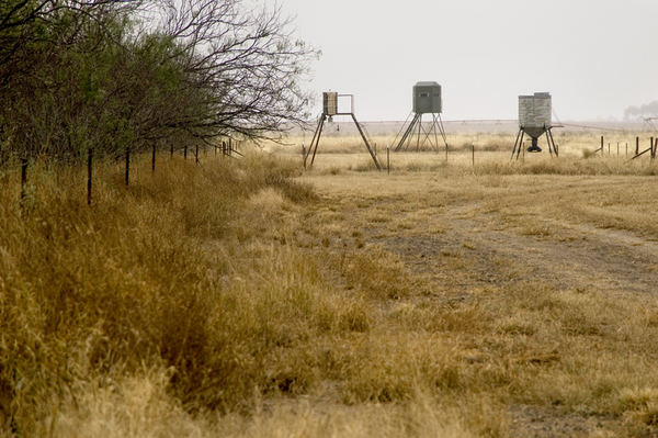 Dos Hermanos Ranch