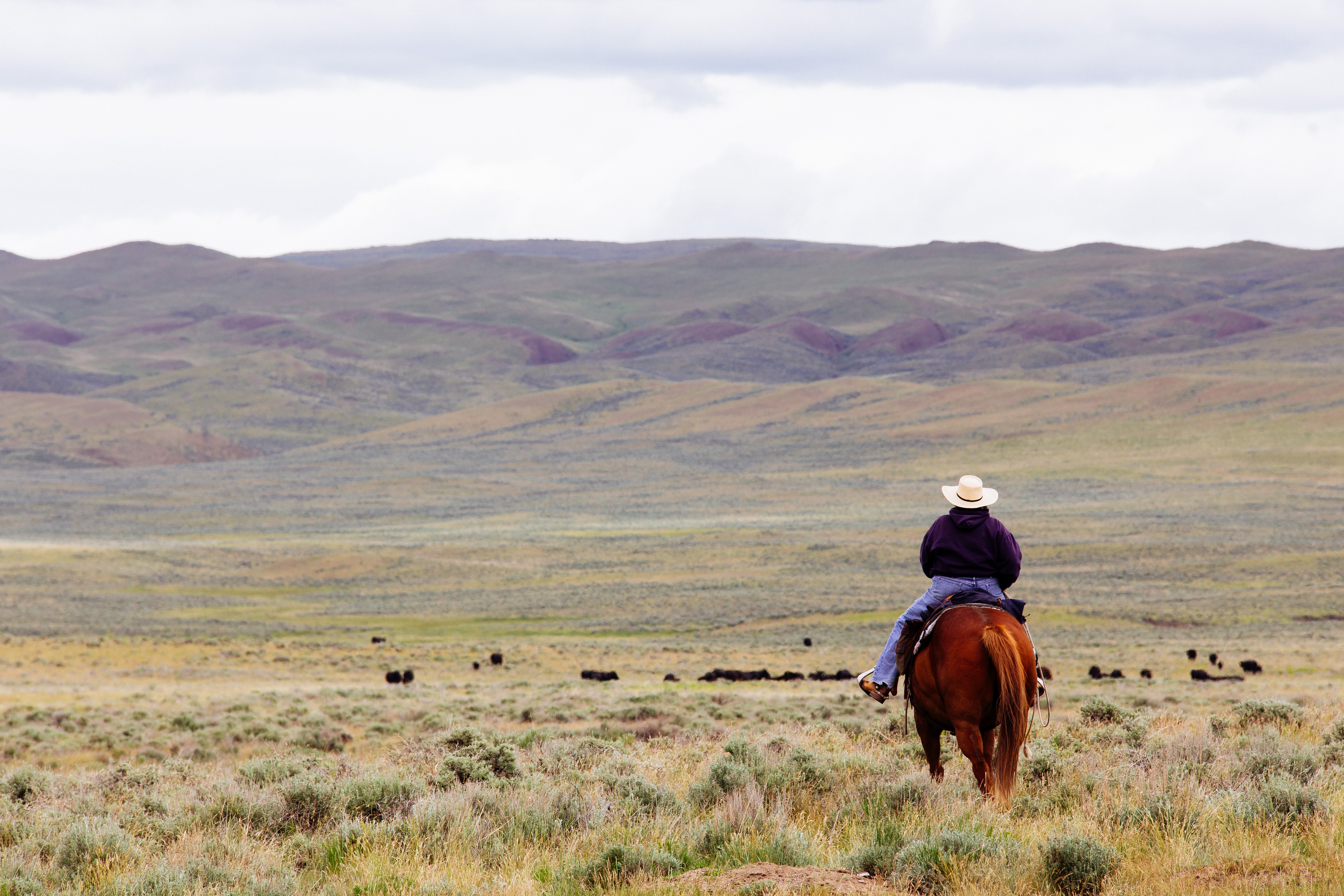 Insights for the Investment-Minded Land Owner: 2023