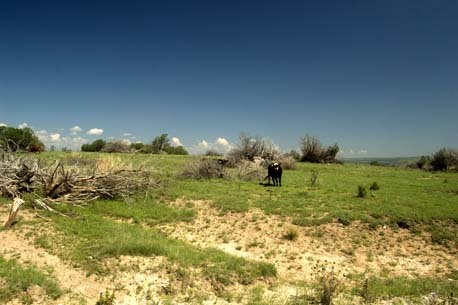 Cornucopia Canyon Ranch