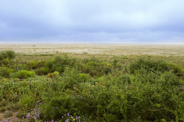 Antelope Springs Ranch