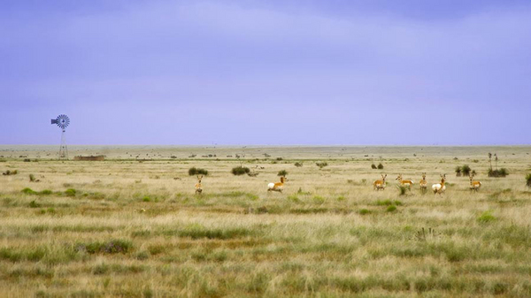 Antelope Springs Ranch