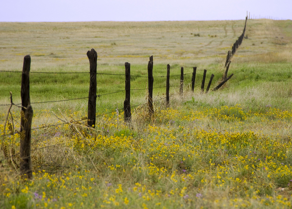 Antelope Springs Ranch