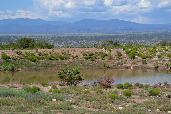 Gold Springs Ranch