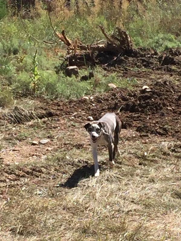 Hot Springs Hunting Ranch and Retreat 