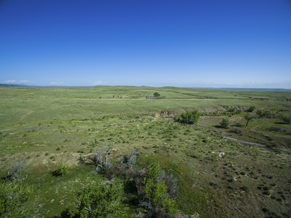 Buffalo Creek Hunting Ranch and Cattle Company