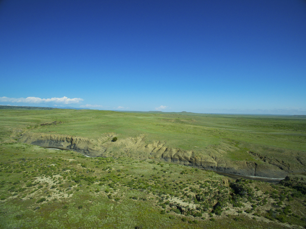 Buffalo Creek Hunting Ranch and Cattle Company