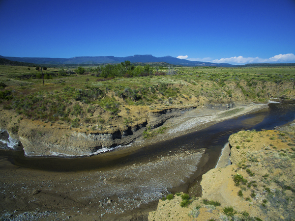 Buffalo Creek Hunting Ranch and Cattle Company