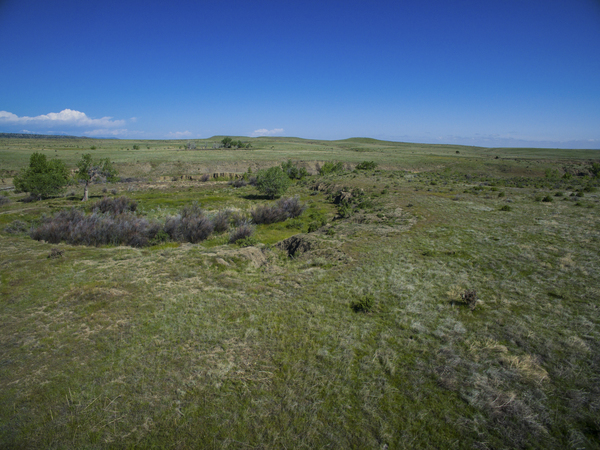 Buffalo Creek Hunting Ranch and Cattle Company