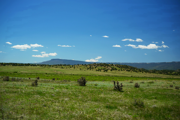 Buffalo Creek Hunting Ranch and Cattle Company