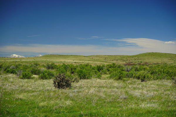 Buffalo Creek Hunting Ranch and Cattle Company