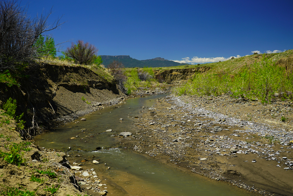 Buffalo Creek Hunting Ranch and Cattle Company