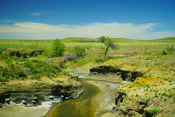 Buffalo Creek Hunting Ranch and Cattle Company