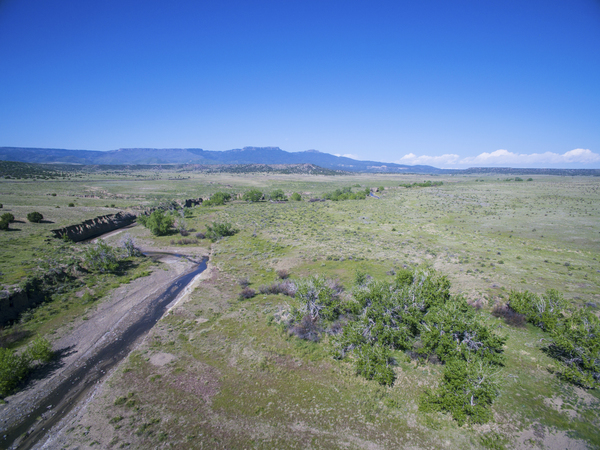 Buffalo Creek Hunting Ranch and Cattle Company