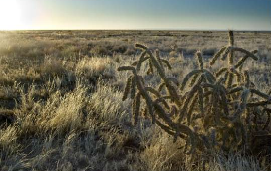 Pyatt Well Ranch