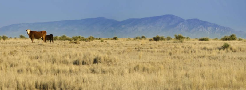 Pyatt Well Ranch