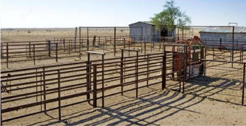 Pyatt Well Ranch