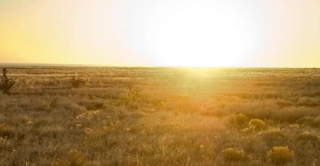 Pyatt Well Ranch