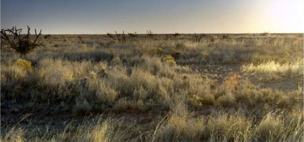 Pyatt Well Ranch