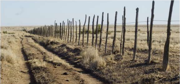 Pyatt Well Ranch