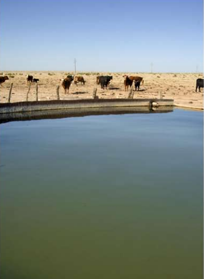 Pyatt Well Ranch