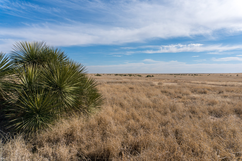 Pyatt Well Ranch