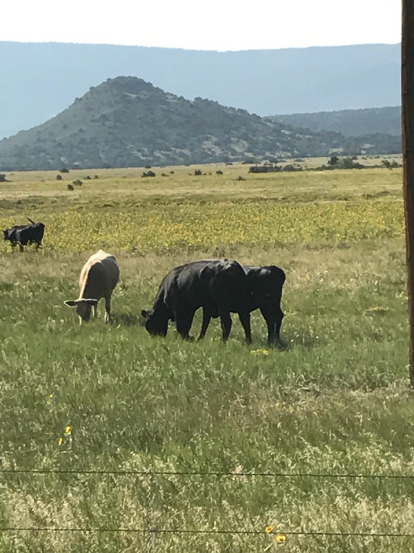 Prairie Hill Ranch