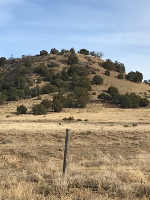 Prairie Hill Ranch
