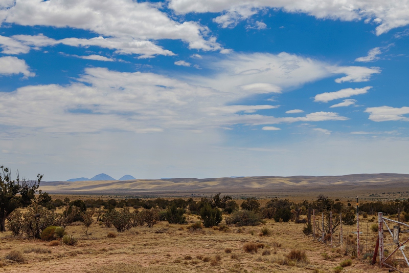 7B Hunting Ranch and Cattle Company