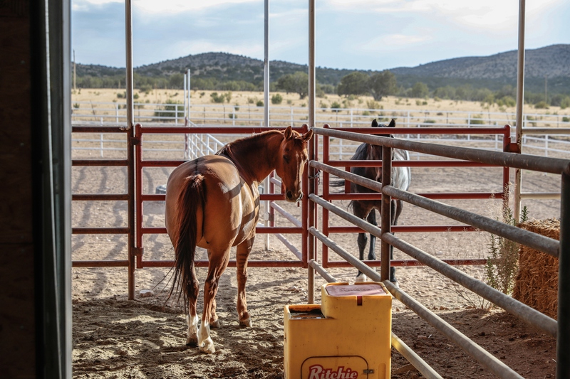 7B Hunting Ranch and Cattle Company