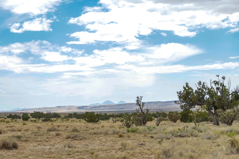 7B Hunting Ranch and Cattle Company