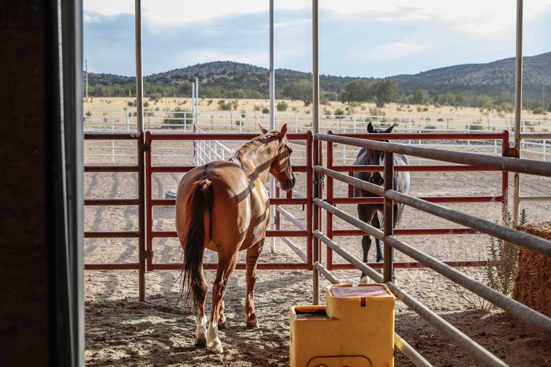 7B Hunting Ranch and Cattle Company