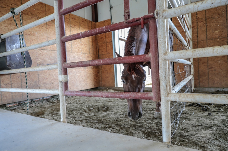 7B Hunting Ranch and Cattle Company