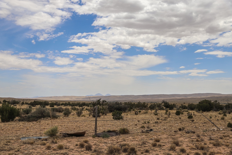 7B Hunting Ranch and Cattle Company