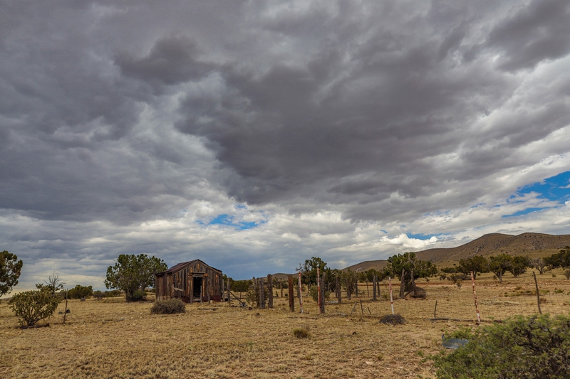 7B Hunting Ranch and Cattle Company