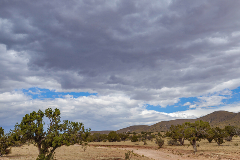 7B Hunting Ranch and Cattle Company