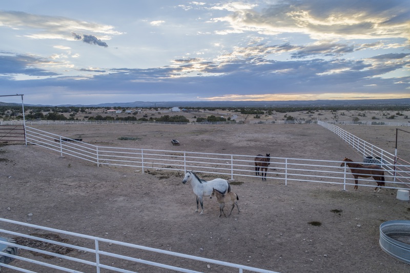 7B Hunting Ranch and Cattle Company