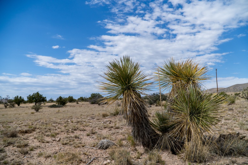 7B Hunting Ranch and Cattle Company