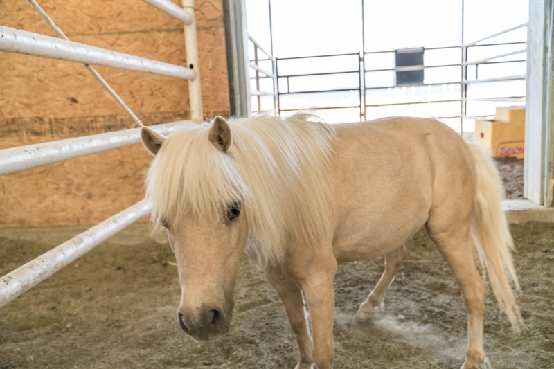 7B Hunting Ranch and Cattle Company