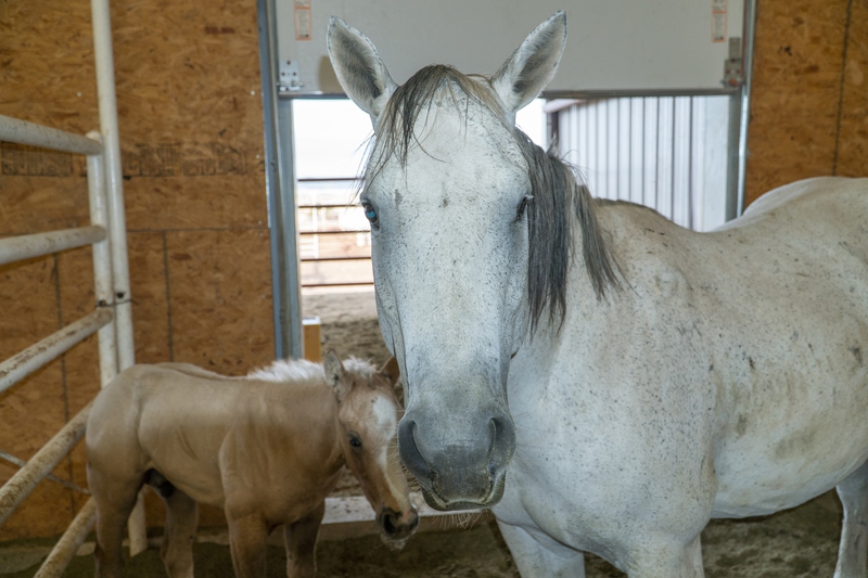 7B Hunting Ranch and Cattle Company