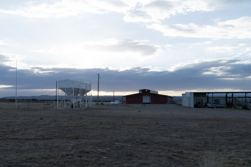 7B Hunting Ranch and Cattle Company