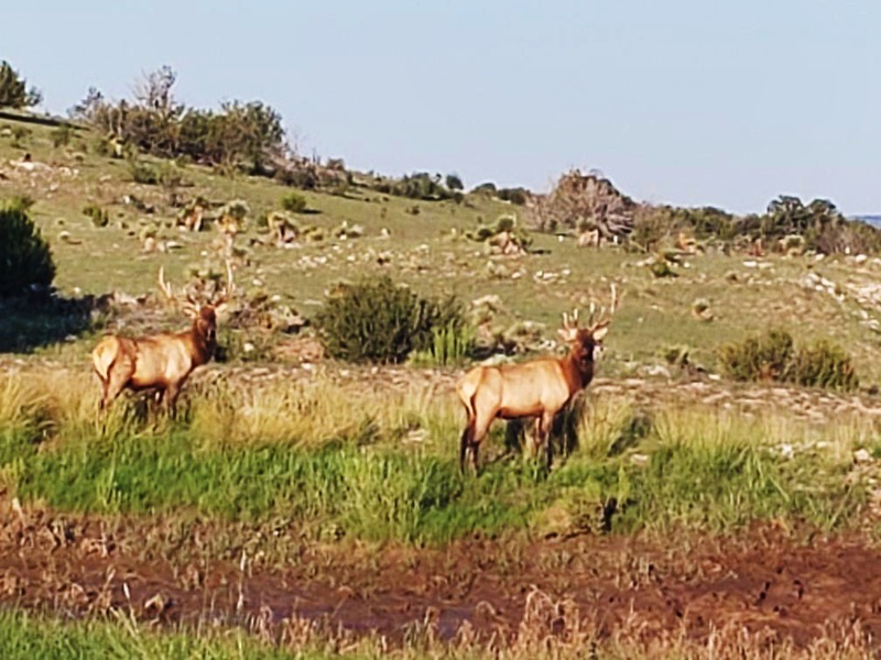 7B Hunting Ranch and Cattle Company