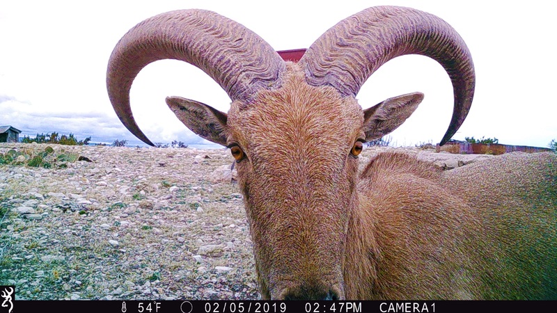 7B Hunting Ranch and Cattle Company