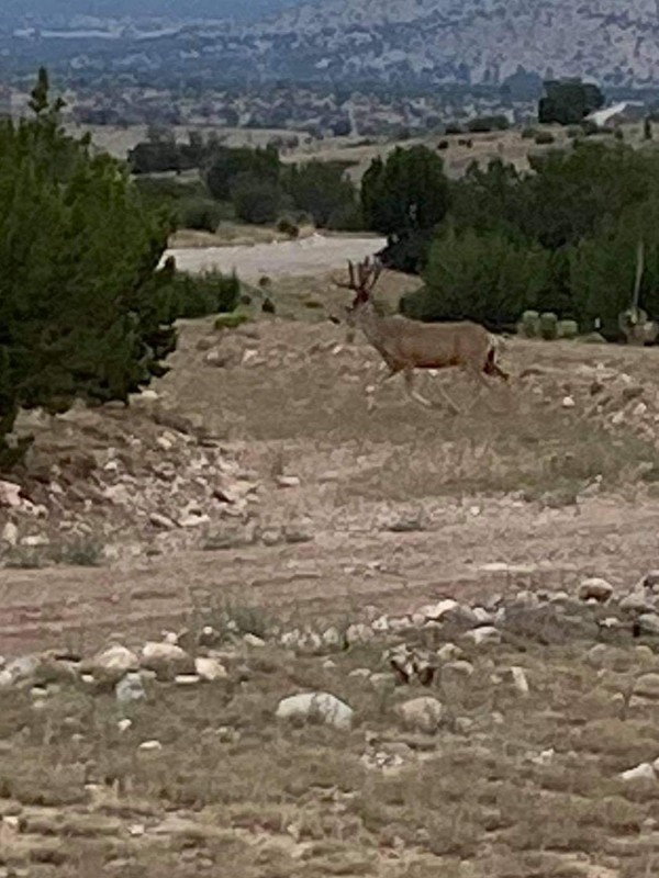 7B Hunting Ranch and Cattle Company