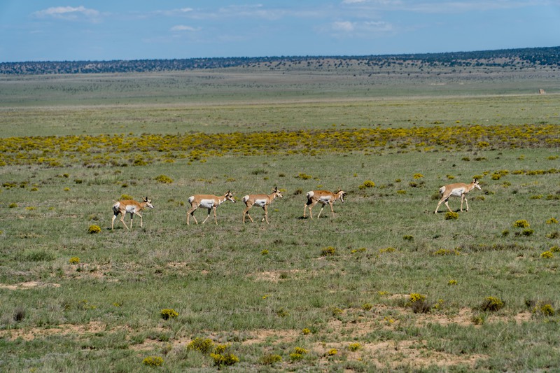 Rockhouse Springs Ranch